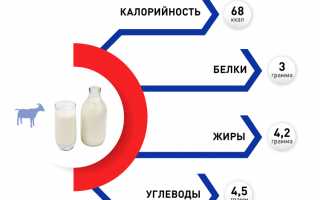 Козье молоко: зачем его пить и как он влияет на организм