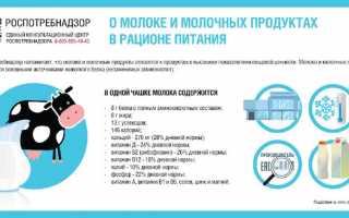 Польза и вред молока: что происходит, если пить каждый день?