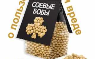 Чем полезна соя — ценнейший продукт