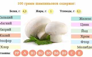 Шампиньоны: польза, вред, выбор и хранение