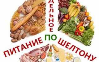Раздельное питание, диета по Шелтону