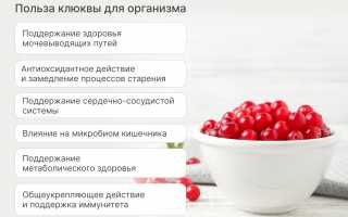 Преимущества клюквы для здоровья