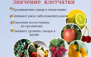 Пищевые волокна: их важность для здоровья