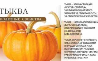 Как тыква влияет на здоровье и кому она особенно полезна?