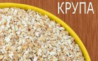 Из чего делают ячневую крупу? Польза ячневой крупы, вкусные рецепты