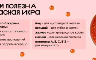 Икра: полезна ли она для организма?