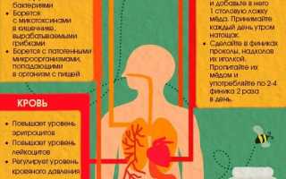 Сферы использования мёда