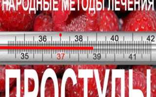 Профилактика гриппа и ОРВИ, народные методы лечения простуды