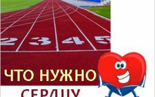 Сердце человека, умственный труд и физические нагрузки