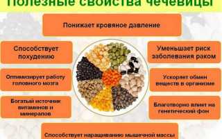 Чечевица: достоинства и недостатки