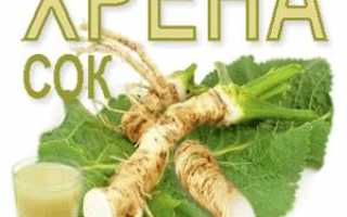 Народные рецепты лечения соком хрена