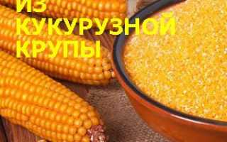 Рецепты кукурузной каши на воде, молоке, с клюквой, тыквой и другие