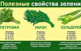 Свежая зелень — преимущества и полезные свойства