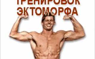 Как накачаться эктоморфу: бодибилдинг для худощавых