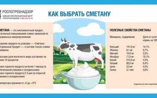 Сметана: польза, вред, выбор и хранение