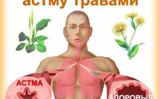 Астма и ее лечение народными средствами