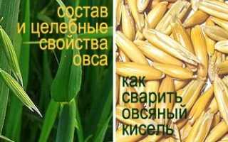 Целебные свойства овса