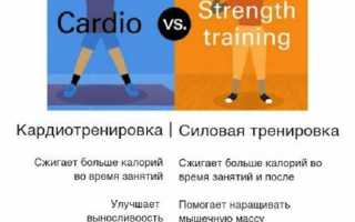 Кардио или силовые тренировки: какая из них лучше для здоровья