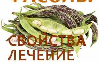 Состав и полезные свойства фасоли. Рецепты применения фасоли, которые вам пригодятся