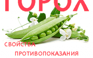 Горох: польза и вред, оригинальные рецепты