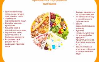 Питание для пожилых людей: значимость вариативности и сбалансированности