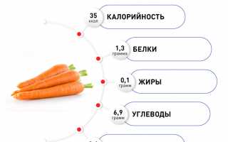 Морковь: польза и вред для здоровья