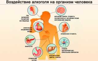 Влияние частого употребления коньяка на организм.