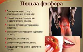 Фосфор: роль в организме человека, симптомы дефицита и как его компенсировать?
