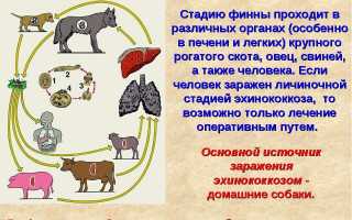 Серонегативные пациенты с эхинококкозом
