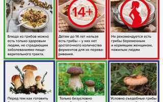 Грибы: преимущества и риски, потенциальная угроза для организма