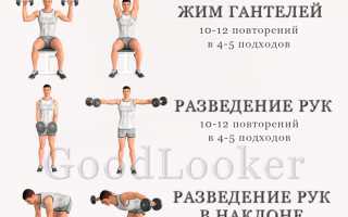 Упражнения для рук и плечей с гантелями в домашних условиях