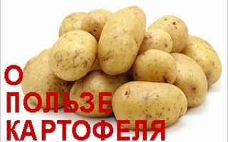 Картофель: свойства, состав, применение в народной медицине, в кулинарии