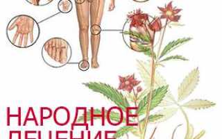 Лечение ревматизма народными средствами