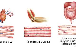 Калий: дефицит, симптомы и роль в организме