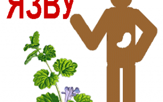 Народные средства от язвы желудка