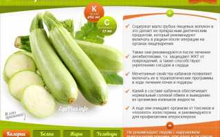 Польза и вред употребления кабачков каждый день