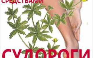 Лечение судорог ног и рук народными средствами