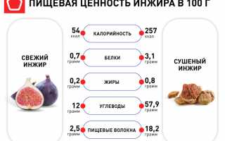 Инжир: польза и вред для организма человека
