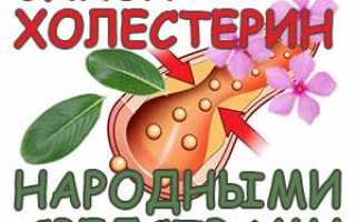 Снижение холестерина народными средствами