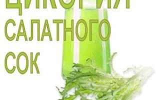 Сок цикория-эндивия в практике народной медицины