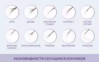 Почему секутся кончики волос и что делать