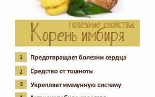Имбирный чай — полезный напиток для организма