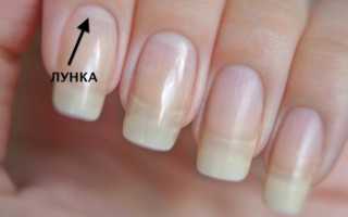 Лунки на ногтях: значение, фото и дизайн