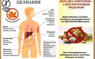 Безглютеновая диета: польза и вред для организма