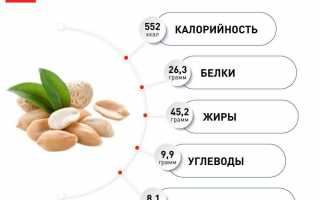 Арахис: полезные свойства и кто не должен его употреблять