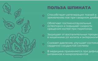 Шпинат: преимущества и риски для организма