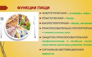 Значение белков в питании: почему они важны для здоровья?