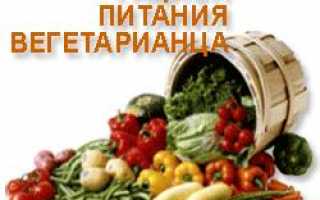 Рацион питания вегетарианца