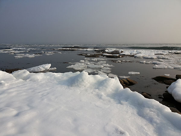 море зимой