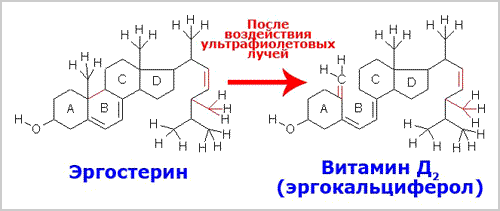 Хим формыла